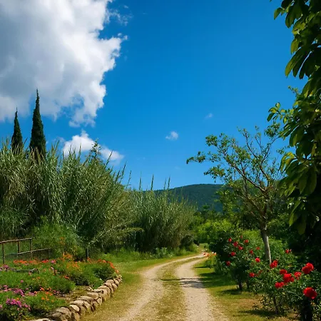 Appartement Rodanthy Iii Katelios