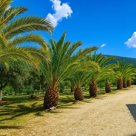 Rodanthy Iii קאטליוס